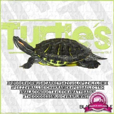 Ormus - Turtle?s, Vol. 1 (2021)
