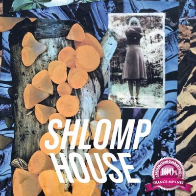 Shlomp House (838046) (2021)