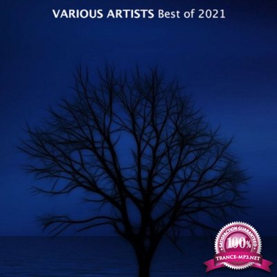 ASTIR Recordings - Best of 2021 (2021)