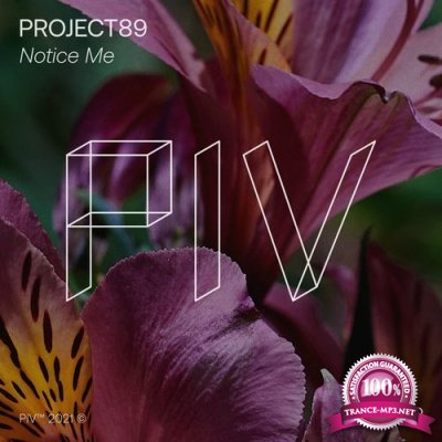 Project89 - Notice Me (2021)