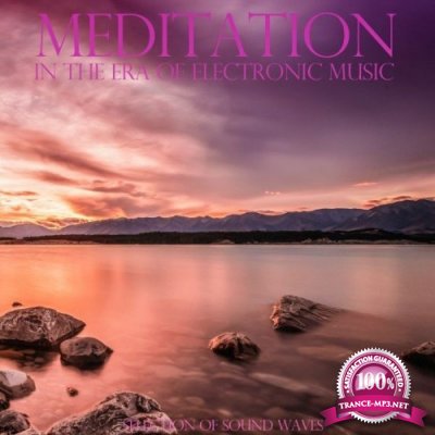 Meditation in the Era of Electronic Music (Selection of Sound Waves) (2021)