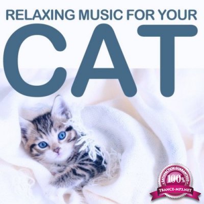 Relaxing Music for Your Cat (2021)