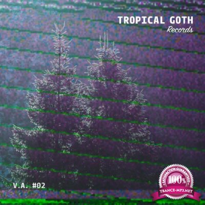 Tropical Goth Records V.A. #02 (2021)