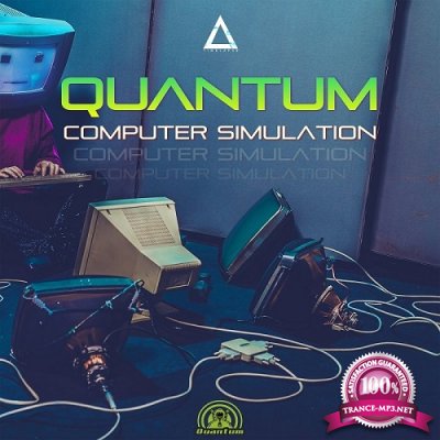 Quantum - Computer Simulation (Single) (2021)