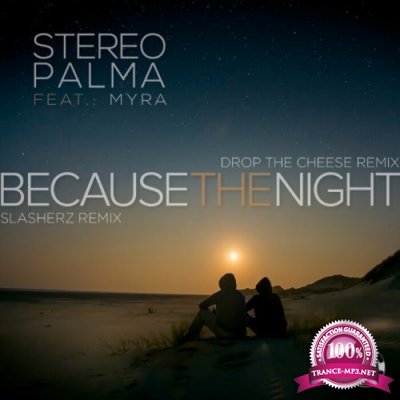 Stereo Palma feat Myra - Because the Night (Remixes) (2021)