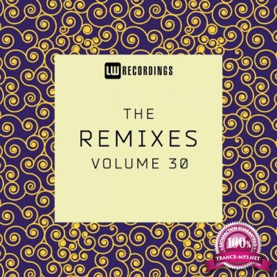 The Remixes, Vol. 30 (2021)