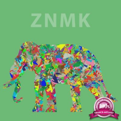 ZNMK - Starting Point (2021)