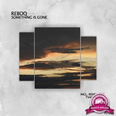 Reboq - Something Is Gone (2021)
