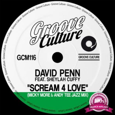 David Penn - Scream 4 Love (Micky More and Andy Tee Jazz Mixes) (2021)