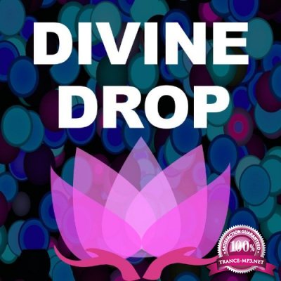 Divine Drop - Section (2021)