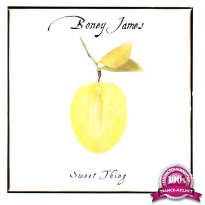 Boney James - Sweet Thing (2021)