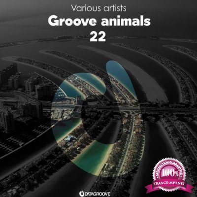 Groove Animals 22 (2021)