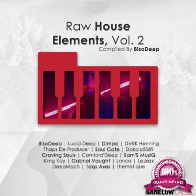 Raw House Elements, Vol. 2 (2021)