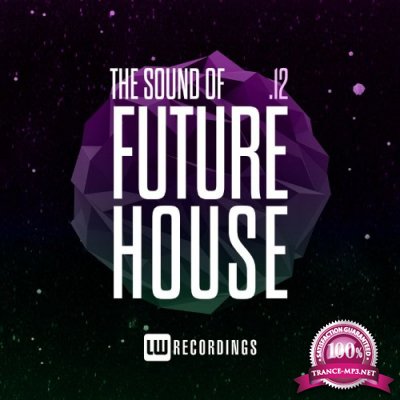 The Sound Of Future House, Vol. 12 (2021)