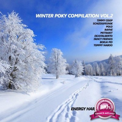 Winter Poky Compilation Vol. 2 (2021)
