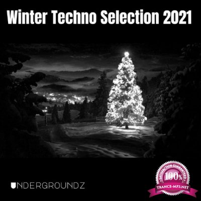 Winter Techno Selection 2021 (2021)