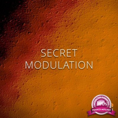 Adjust - Secret Modulation (2021)