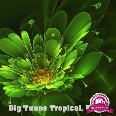 Big Tunes Tropical, Vol. 6 (2021)