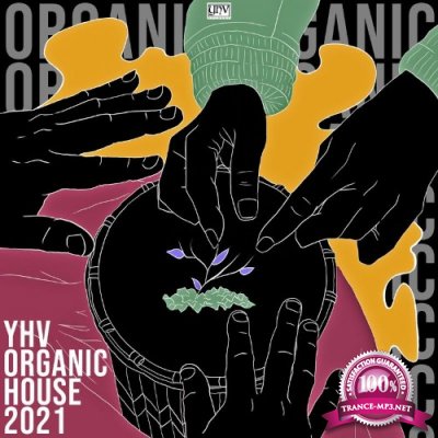 YHV Organic House 2021 (2021)