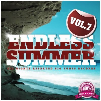 Endless Summer, Vol. 7 (2021)