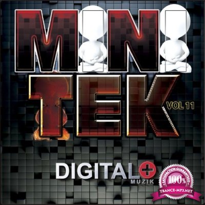 Mini Tek Vol 11 (2022)