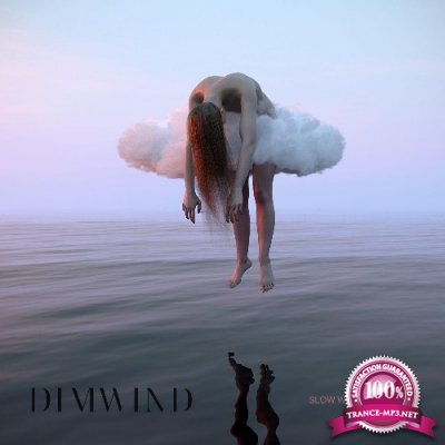 Dimwind - Slow Wave Violence (2021)