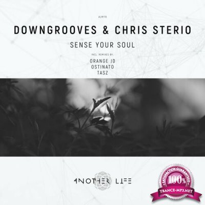 Downgrooves & Chris Sterio - Sense Your Soul (2022)