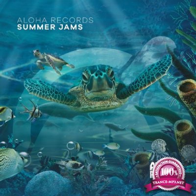 Aloha Records - Summer Jams (2022)