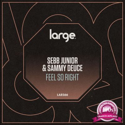 Sebb Junior & Sammy Deuce - Feel So Right (2022)