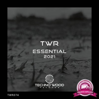 Techno Wood Records - ESSENTIAL 2021 (2022)