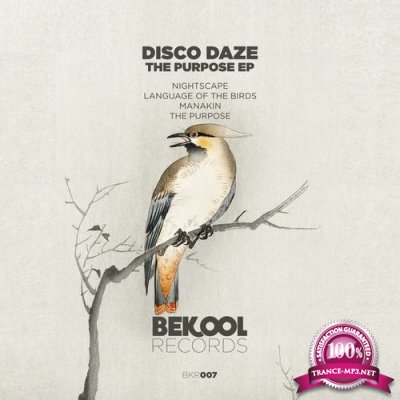 Disco Daze - The Purpose (2022)