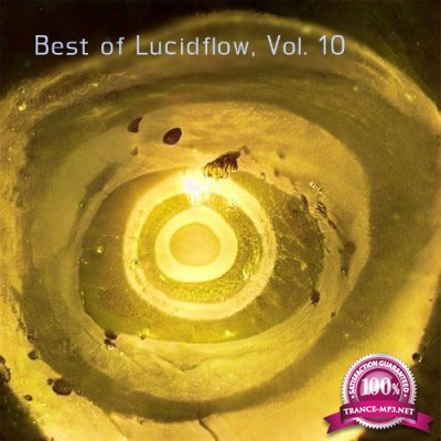 Best of Lucidflow, Vol. 10 (2022)