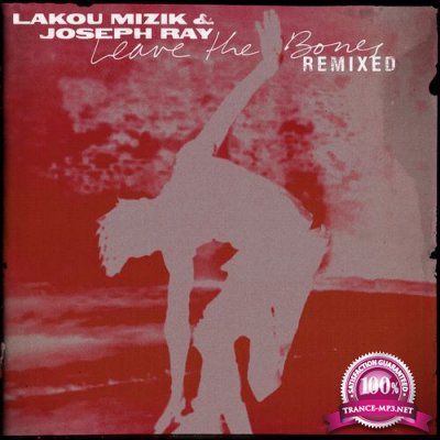 Lakou Mizik & Joseph Ray - Leave the Bones (Remixed) (2022)