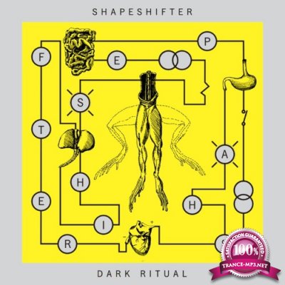 Shapeshifter - Dark Ritual (2022)