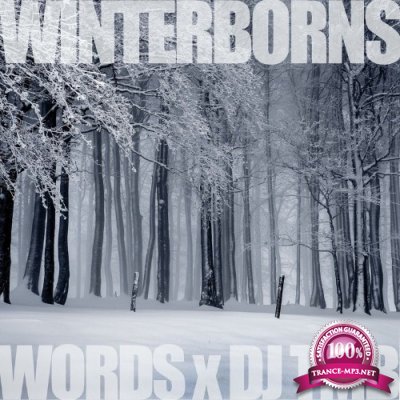 Words x DJ TMB - The Winterborns (2021)