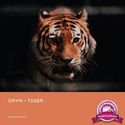 DRYM - Tiger (2022)