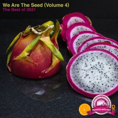 We are the Seed Volume 4 The Best of 2021 (2022)
