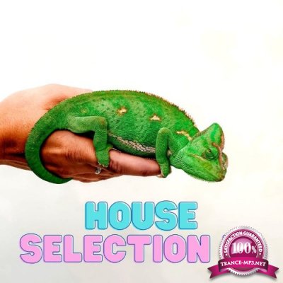 House Selection 43 (2022)