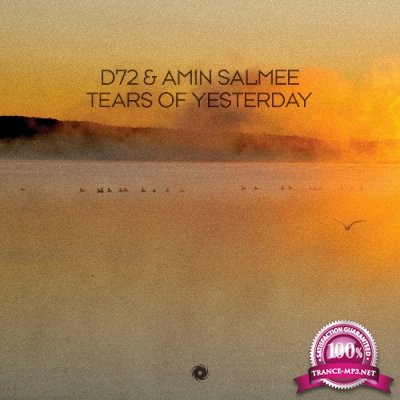 D72 & Amin Salmee - Tears of Yesterday (2022)