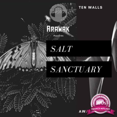 Ten Walls - Salt Sanctuary (2022)