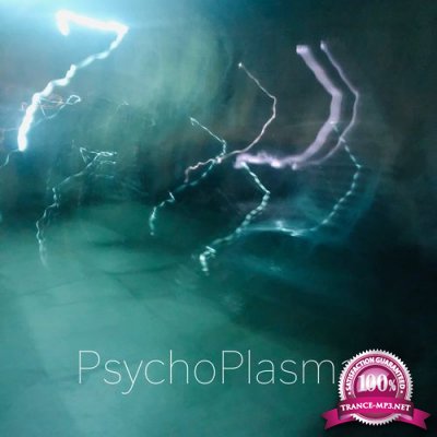 PsychoPlasma - Lost Tracks Vol. 2 (2022)