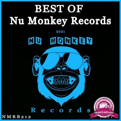 Best Of Nu Monkey Records Part 2 (2022)