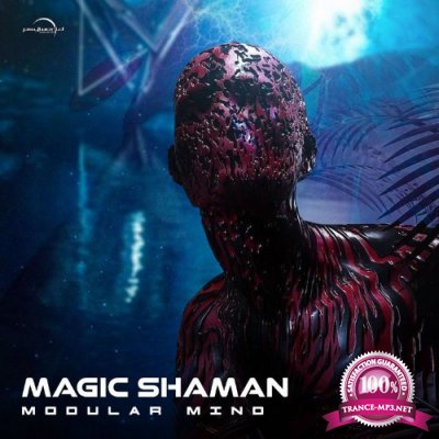 magic shaman - Modular Mind (2022)