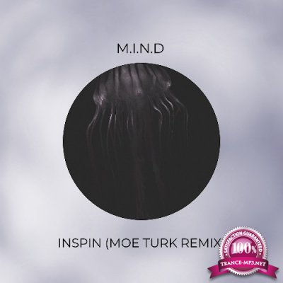 M.I.N.D - Inspin (2022)