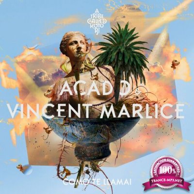 Acado & Vincent Marlice - Como te Llamai (2022)