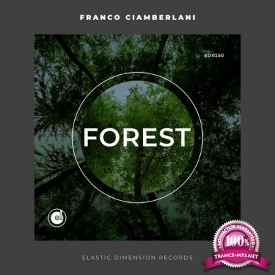 Franco Ciamberlani - Forest (2022)