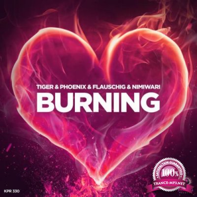 Tiger & Phoenix & Flauschig & Nimiwari - Burning (2022)