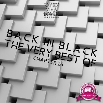 Back in Black! Chapter 16 (2022)