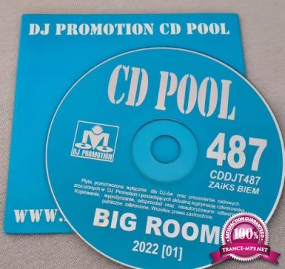 DJ Promotion CD Pool Big Room 487 (2022)