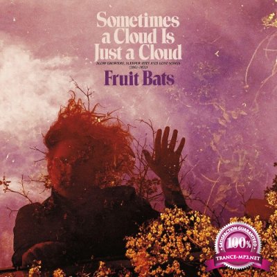 Fruit Bats - Sometimes a Cloud Is Just a Cloud: Slow Growers, Sleeper Hits and Lost Songs (20012021) (2022)